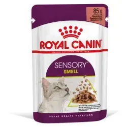 Royal Canin Sensory Smell Katzen-Nassfutter (in Soße) 1 Karton (12 x 85 g)
