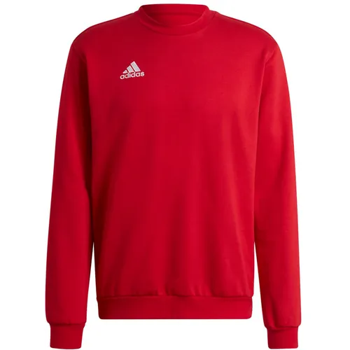 adidas Herren Entrada 22 Sweatshirt, Team Power Red 2, 3XL von adidas