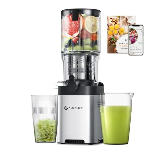 AMZCHEF Slow Juicer mit doppelter Schnecke