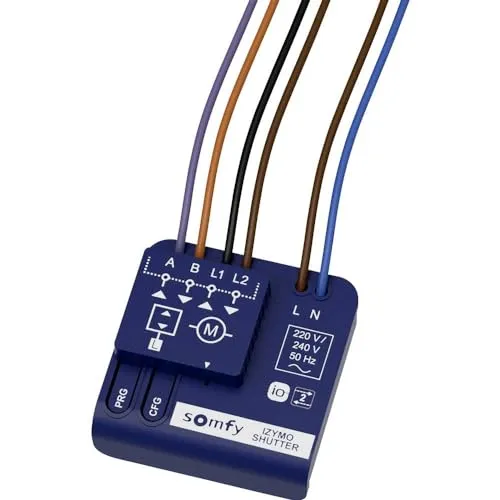 Somfy 1822660 Funkempfänger - Hohlwanddose für einfache Nachrüstung, kompatibel mit allen verkabelten Rollladenmotoren und io-Funkprodukten