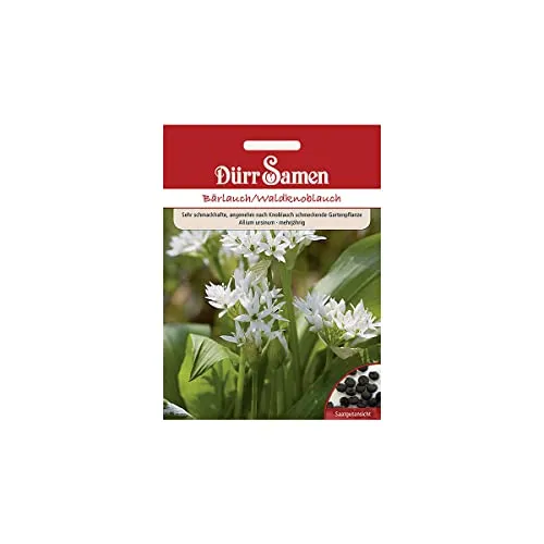 Dürr-Samen - Bärlauch/Waldknoblauch Saatgut