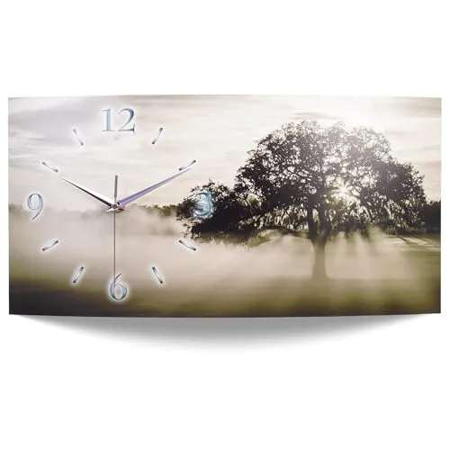Kreative Feder „Natur“ Designer-Wanduhr – Handarbeit Made in Germany - Elegante Wanduhr mit 3D-Wölbung aus gebürstetem Alu-Verbund; erhältlich in 50x25cm oder 80x40cm. Flüsterleises Quarzuhrwerk für eine ruhige Atmosphäre. Ideal als Blickfang in jedem Raum oder als besonderes Geschenk.