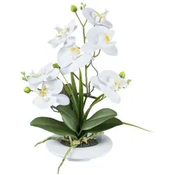 Gasper künstliche Orchidee Phalaenopsis 40cm von GASPER