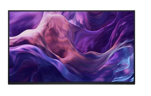 Monitor 23.8 inches P2425H WOST IPS 1920x1080/16:9/DP/HDMI/USBC/VGA 884116468707