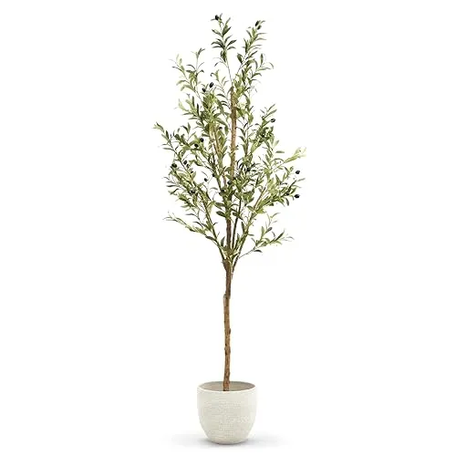 Maia Shop | Olivenbaum Künstlich | Kunstpflanzen| Künstlicher Baum | Maße: 180 x 65 cm | Kunstpflanze Groß | Fake Plant | Deko | Deko Wohnzimmer | Minimale Pflanze