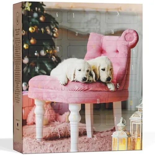 Adventskalender bis 20 Euro von UMBRELLA