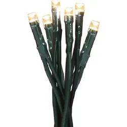 Star Beleuchtung von Star