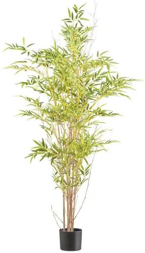 Kunstbambus Bambus, Creativ green, Höhe 150 cm, mit Naturstamm