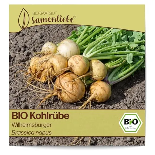 Samenliebe BIO Kohlrübe Samen alte Sorte Wilhelmsburger Steckrübe rundes Wintergemüse gelb 200 Samen samenfestes Gemüse Saatgut für Gewächshaus Freiland und Balkon BIO Gemüsesamen winterhart