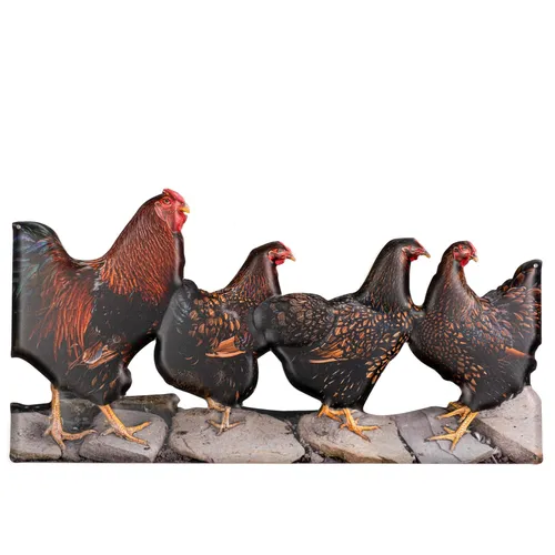 Blechschild 49,5x25,5cm 4 Hühner Hahn Hühnchen Hähnchen Deko Schild Metallschild