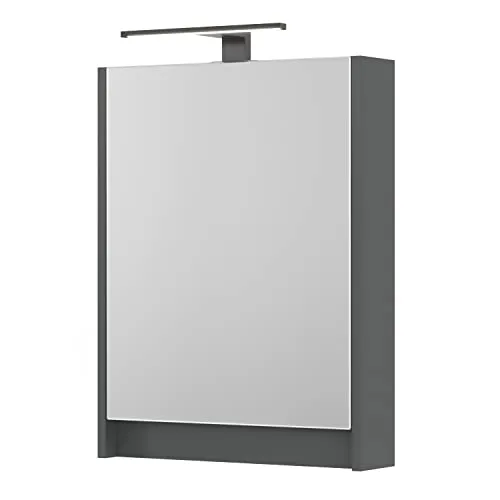 Planetmöbel Spiegelschrank Bad mit Beleuchtung 50 x 65 x 11,4 cm, grau matt, Badezimmerschrank mit Spiegel und LED Aufbauleuchte