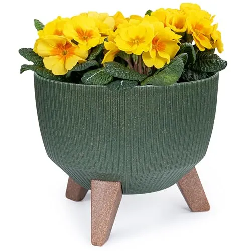 KONZEPT Pflanzschale Groß 24cm Grün, Blumentopf mit Füßen, wetterfest & UV-beständig, mit Wasserabfluss-Einsatz, Übertopf für Innen & Außen