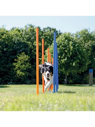 Trixie Dog Activity Agility Slalom - Agility Set für Hunde, fördert Fitness und stärkt die Mensch-Hund-Bindung, inklusive Nylontasche und rostfreien Bodennägeln