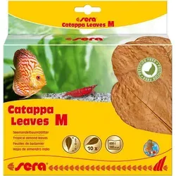 sera Catappa Leaves - Seemandelbaumblätter für Aquarien, 10er Pack zur Förderung von Zierfischen und Garnelen, schützt vor Bakterien und Pilzen