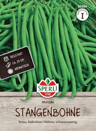 Sperli Gemüsesamen Stangenbohnen Matilda, grün