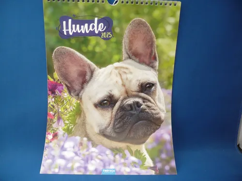 Fotokalender Bildkalender 2025 - Hunde, 33x24cm, zum Aufhängen !