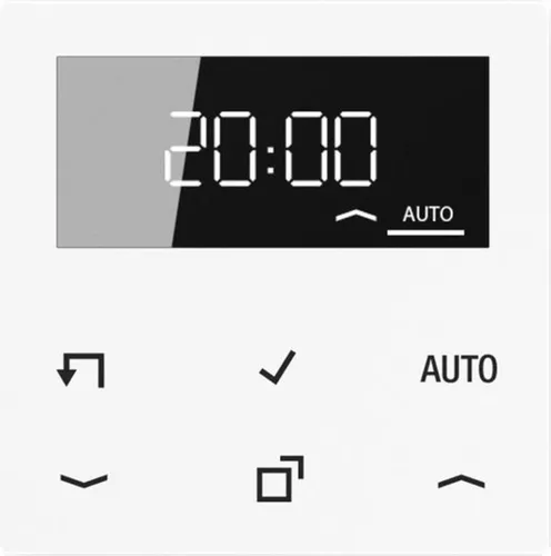 Jung A 1750 D WW Timer Standard mit Display von Jung