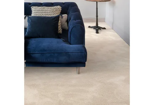 Andiamo Teppichboden Levin – Weicher Velours Teppichboden, Made in Belgium - Kurzflor-Teppich mit 10 mm Höhe, ideal für gemütliche Wohnräume. Ausgezeichnete Schalldämmung und geeignet für Fußbodenheizungen, leicht zu reinigen und zu verlegen.