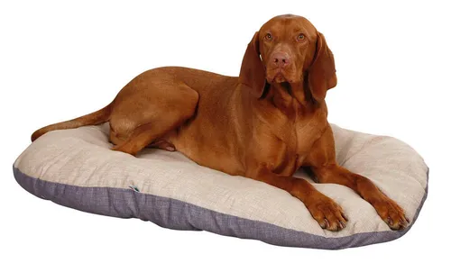 Kerbl Tierkissen in beige von Kerbl