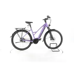 TRENGA DE GLE 10.0 i Gates City E-Bike 2025