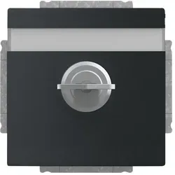 Busch-Jaeger Steckdosen Schwarz von Busch-Jaeger