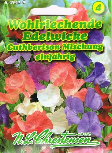Wohlriechende Edelwicke Cuthbertson Mischung Lathyrus odoratus Wicke rankend