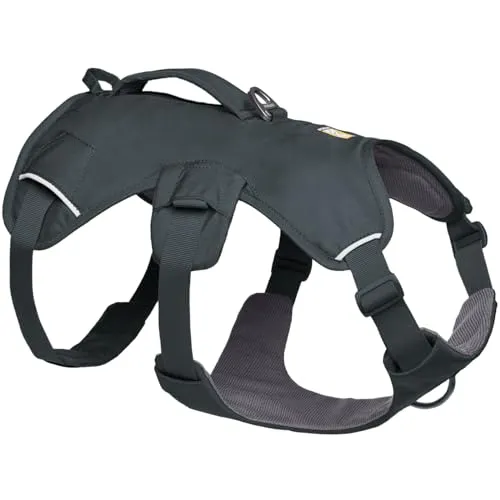 Ruffwear Web Master Harness Hunde-Geschirr in Basalt Gray, Größe M - Hochwertiges Hunde-Geschirr für optimale Kontrolle und Sicherheit beim Autofahren, verstellbar für perfekten Sitz (69 - 81 cm). Ideal für aktive Hunde.