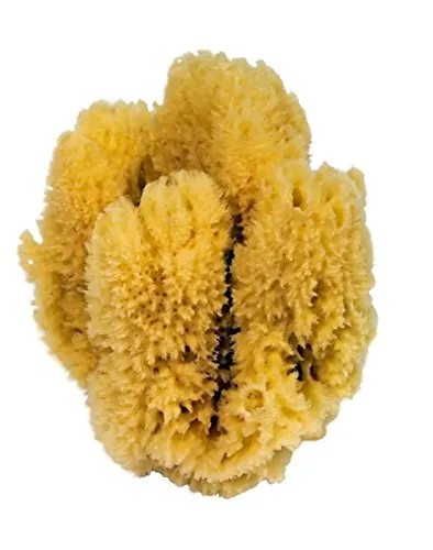 Croll & Denecke Naturschwamm, Natur, ca.16-18 cm, Gelb