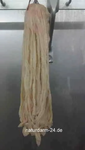 Bendel Großbund 20 Meter 