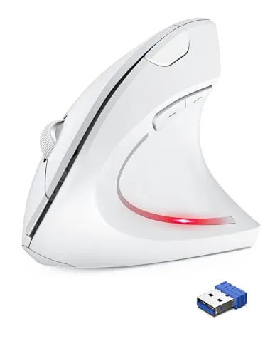 TechRise Ergonomische Maus, 2.4G Kabellose vertikale Maus - 4800 DPI optische leise mit 5 einstellbaren DPI, 6 Tasten für Windows, Mac, Chromebook, Linux, Notebook, Laptop, PC (Weiß)
