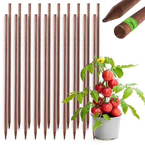 KADAX Rankhilfe aus Holz