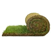 Produktbild Spiel- & Sport-Rollrasen für Ihren Garten