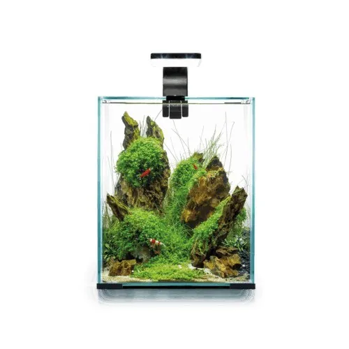 AQUAEL Shrimp Set LED 20L in schwarz von Aquael