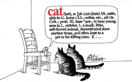 B. Kliban Cat (Taschenbuch) (US IMPORT)