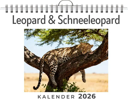 Max Huber | Leopard & Schneeleopard | Kalender | Deutsch | 2026 | FlipFlop