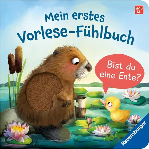 Kathrin Lena Orso / Mein erstes Vorlese-Fühlbuch - Bist du ein ...9783473418732
