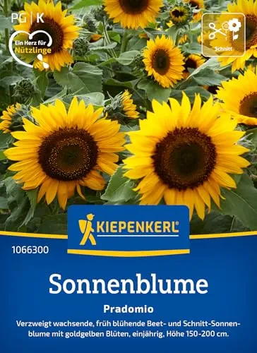 Produktbild Kiepenkerl Sonnenblumensamen Pradomio 1066300 – Früh blühende, buschig verzweigte Beet- und Schnitt-Sonnenblume