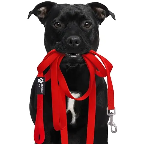 Reichstadt Pets Robuste PVC Hundeleine für Hunde – wasserabweisend, rutschfeste Oberfläche | 360° Edelstahl-Karabiner, pflegeleicht & wetterfest 25RSP086 Red 5m