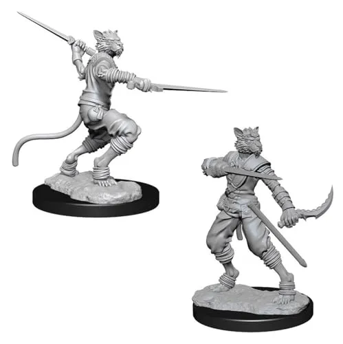 Dungeons & Dragons WK73540 Accessories