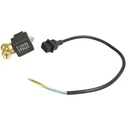 Wolf Magnetventil 10884 Eckerle Pumpe - Hausschuhe - Hochwertiges Magnetventil für effiziente Pumpensteuerung, kompatibel mit verschiedenen Wolf Modellen.