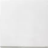 Gira 29627 WIPPE AUS/WECHSEL REINWEISS von Gira