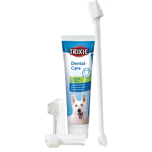 Zahnpflege Set für optimale Mundhygiene - Mundhygiene Set mit Zahnbürste und Zahnpasta, sorgt für effektive Entfernung von Zahnbelag und frischen Atem. Ideal für die tägliche Pflege.