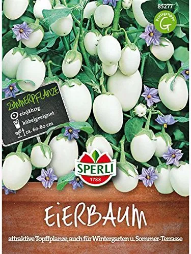 Mein schöner Garten DE SPERLI's Eierbaum-Samen EH001591-001