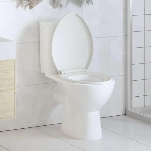 vidaXL Toilettensitz mit Absenkautomatik und Quick-Release-Design - Gartenmöbel-Sets: Hochwertiger Toilettensitz mit Soft-Close-Funktion und einfachem Montage-Design für müheloses Reinigen und langlebige Nutzung.
