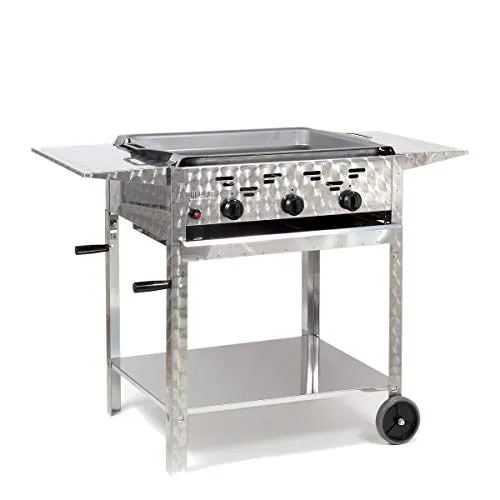 Gasgrills bis 400 Euro von LAG