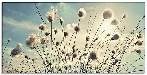 ARTland Wanddeko Glasbilder Wandbild Glas Bild einteilig 100x50 cm Querformat Natur Zauber Idyll Sonne Moor Pflanzen Gräser Blumen Wollgras T2GI