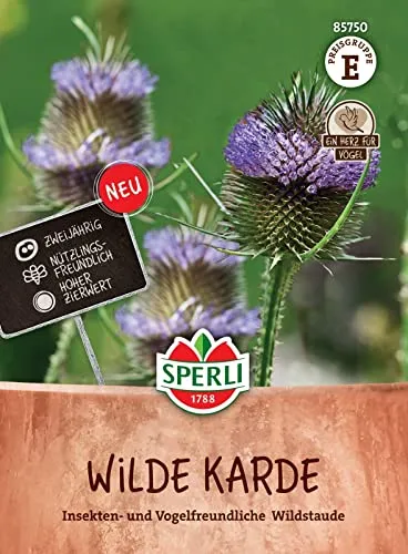 Sperli 85750, Wilde Karde, Insekten und vogelfreundliche Wildstaude, zweijährig, Nützlingsfreundlich