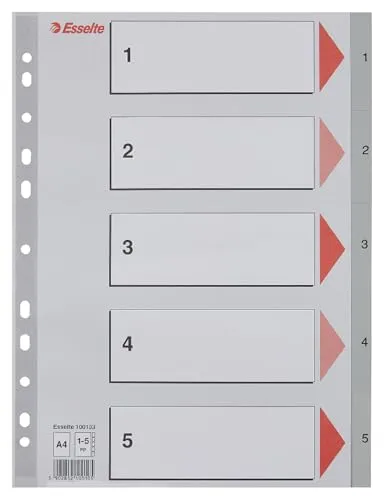 Esselte Register für A4, Deckblatt aus Karton und 5 Trennblätter aus Kunststoff, Taben mit Zahlenaufdruck 1-5 Tabs, Überbreite, Grau, 100103