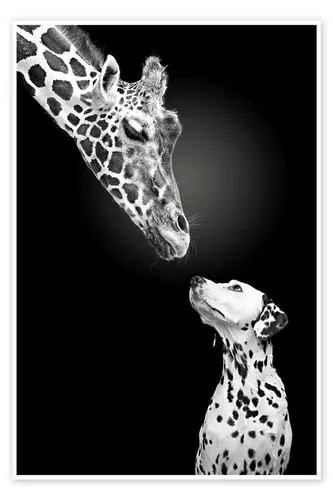 Posterlounge Wandbild Fleckenverwandte, Werner Dreblow, erhältlich als Poster, Leinwandbild, Wandsticker oder Acrylglasbild