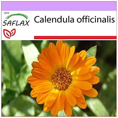 SAFLAX von Saflax